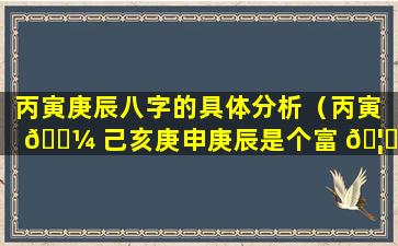 丙寅庚辰八字的具体分析（丙寅 🌼 己亥庚申庚辰是个富 🦊 贵八字）